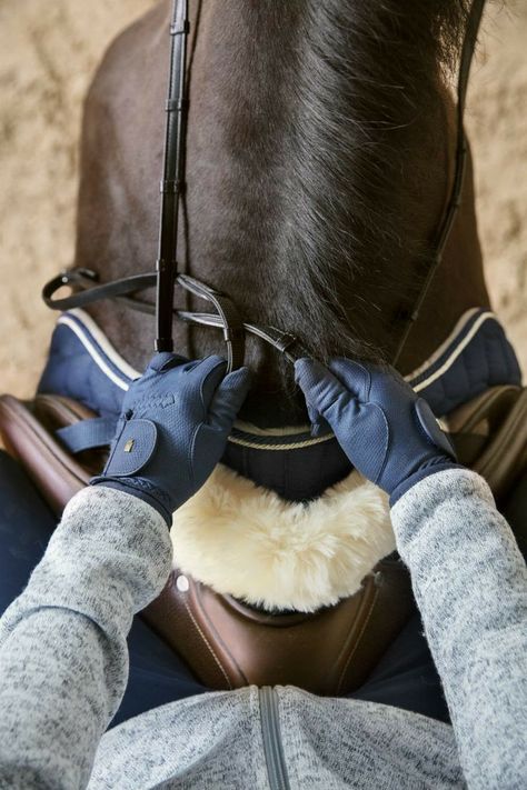 Horsey Life, Equestrian Aesthetic, Horse Riding Clothes, Horse Inspiration, Horse Fashion, Horse Aesthetic, Horse Accessories, Equestrian Lifestyle, Horse Equestrian