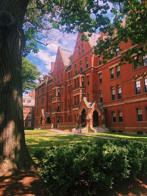 Harvard Dental School, Harvard University Campus Aesthetic, Harvard University Aesthetic Wallpaper, Harvard University Wallpaper, Harvard University Dorm, Harvard Poster, Harvard Student Aesthetic, Harvard Pictures, Harvard University Aesthetic