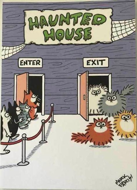 Wednesday Cat, Daylight Savings, Daylight Savings Time, Halloween Cartoons, Funny Cat Memes, My Favorite Image, Halloween Cards, Haunted House, Cat Pics