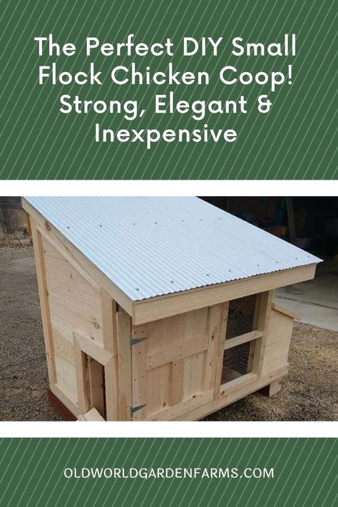 Easy To Clean Small Chicken Coop, Easy Small Chicken Coop Diy, Small Flock Chicken Coop, Easy Small Chicken Coop, Simple Small Chicken Coop, Diy Chicken Coop For 4 Chickens, 4x4 Chicken Coop Diy, Low Profile Chicken Coop, Chicken Coupe Diy Plans Simple