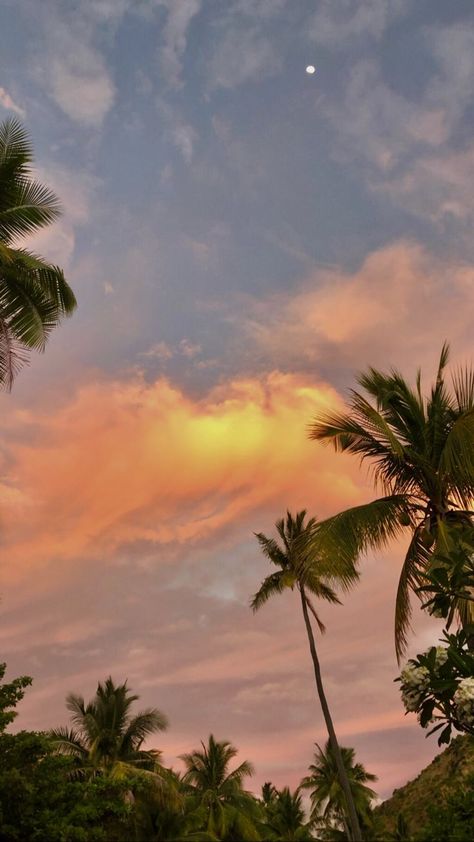 #sunset #palmtrees #pink #fiji Fiji Aesthetic Wallpaper, Fiji Sunset, Mount Fiji Wallpaper, Island Sunset Aesthetic, Fiji Aesthetic Water, Sun View, Pink Sunset Beach Aesthetic, Sunset Landscape, Summer Wallpaper