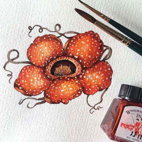 Daisy Maude on Instagram: “Inktober Day 10 - Gigantic Rafflesia flower - The largest and weirdest flower in the world. Growing to a monstrous 3ft wide, as it blooms…” Raflesia Arnoldi Drawing, Raflesia Arnoldi Illustration, Rafflesia Drawing, Malaysia Element, Raflesia Arnoldi Art, Raflesia Arnoldi, Bunga Rafflesia, Poster Merdeka, Rafflesia Flower