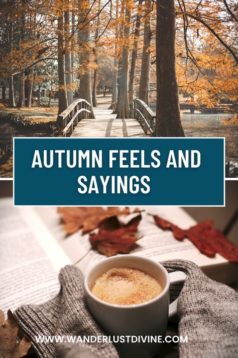 Autumn vibes and sayings for all those who love fall Fall Baking Ideas, Autumn Sayings, Autumn Words, October Magic, Everything Autumn, Autumn Playlist, Autumn Ambience, Fall Sayings, Super Club