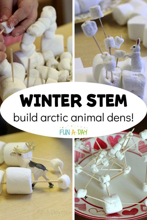 Arctic Week Preschool, Arctic Animals Preschool Science, Arctic Animals Science Experiment, Arctic Theme Activities, Arctic Themed Crafts, Winter Animals Science Preschool, January Learning Themes, Arctic Activities For Preschool, Winter Stem Preschool