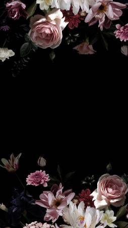 Background For Text, Vintage Wall Mural, Black Flowers Wallpaper, Black Floral Wallpaper, Flowers Black Background, Fesyen Islam, Roses And Peonies, Flowers Photography Wallpaper, Floral Wallpaper Phone