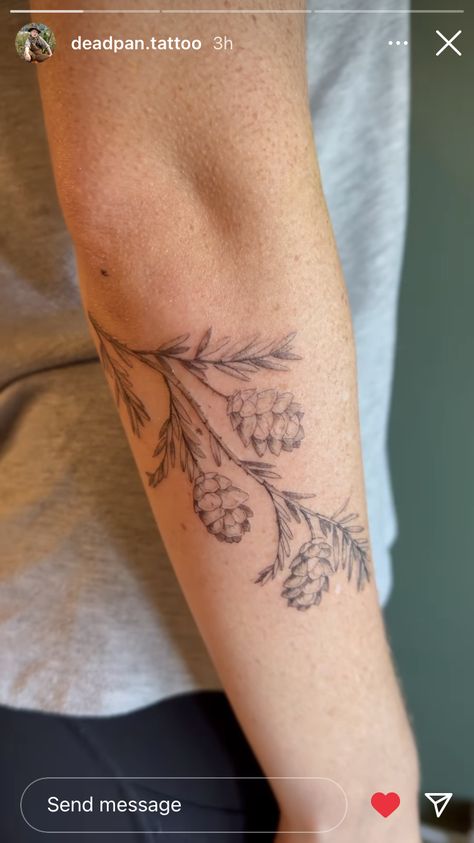 Redwood Sprig Tattoo, Hemlock Tattoo Trees, Redwood Branch Tattoo, Anatomy Nature Tattoo, Redwood Leaf Tattoo, Pine Tree Back Tattoo, Park Ranger Tattoo, Hickory Tree Tattoo, Longleaf Pine Tattoo