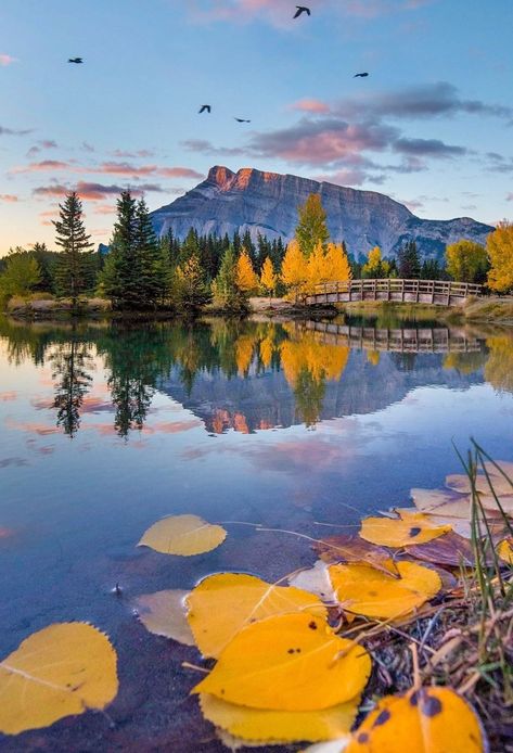 Beauty in all things... - What a beautiful morning… swissclick_photography Banff Fall, Bc Mountains, Solstice Traditions, Winter Solstice Traditions, Banff Alberta Canada, Reflection Pictures, Cozy Weather, A Beautiful Morning, Banff Alberta