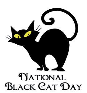 National Black Cat Day in the US - Thursday, October 27, 2022 National Black Cat Day, Black Cat Day, Days Until Halloween, Wine Quotes Funny, Animal Advocacy, Friends Sign, October 27, Red River, Best Memories