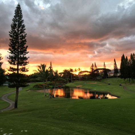 17th Tee at Waikele Country Club, Oahu, Hawaii Hawaii Golf Courses, Oahu Hawaii, 2024 Vision, Oahu, Golf Club, Country Club, Golf Clubs, Golf Courses, Vision Board