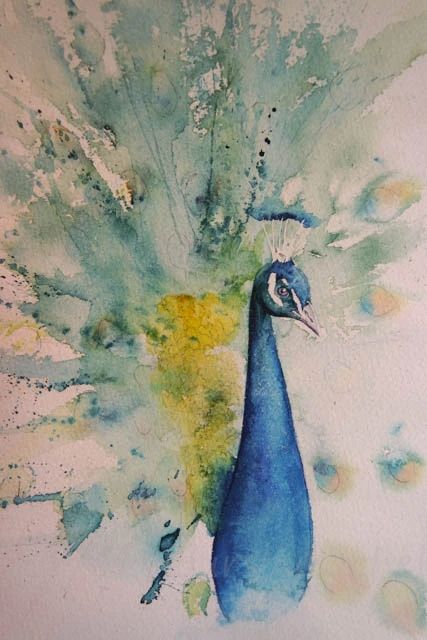 Akvarel Illustration, Bird Watercolor Paintings, Watercolour Ideas, Watercolor Birds, Watercolor Paintings For Beginners, Watercolor Paintings Easy, Water Colours, Simple Acrylic Paintings, Watercolor Ideas