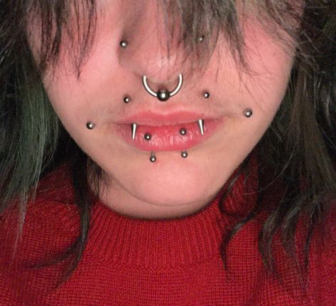 angel fangs piercing , vertical labret piercing, dahlia piercings, septum piercing Angle Fangs And Snake Bites, Shark Bites Piercing Rings, Vertical Snake Bites Piercing, Raccoon Bites Piercing, Angel Bites And Snake Bites, Vertical Angel Bites, Angel Fangs And Snake Bites, Angel Bites Piercing Fangs, Angle Bite