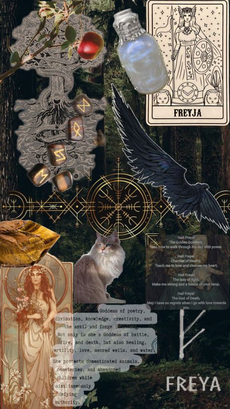 #Freya #goddess #nordic Freya Wallpaper Goddess, Symbols Of Freya, Nordic Aesthetic Wallpaper, Nordic Wallpaper Iphone, Nordic Mythology Aesthetic, Freyja Aesthetic, Nordic Witchcraft, Frigga Goddess, Freya Core