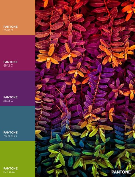 Good Color Schemes, Jewel Tones Color Palette Hex Codes, Mercury Color Palette, Home Decor Color Pallet Ideas, Weird Color Combinations, Copper Color Combinations, Colouring Inspiration, Oil Slick Color Palette, Colors Of Mexico