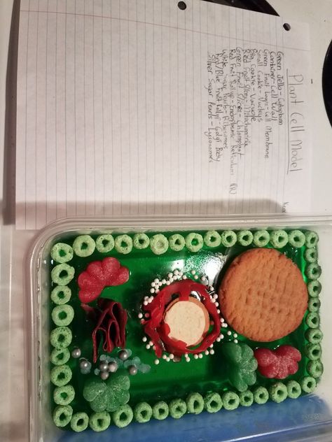 Edible Jello Plant Cell Project Jello Plant Cell Project, 3d Plant Cell Project, 3d Plant Cell, Edible Cell Project, Cell Cake, Edible Cell, Plant Cell Project, School Tricks, Cell Model Project