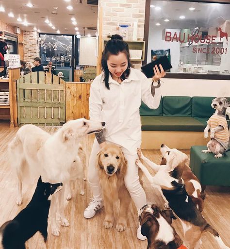 If Heaven Is a Place on Earth, It's This Amazing Dog Cafe in Seoul Dog Cafe Aesthetic, Seoul Trip, Cafe In Seoul, Cat Cafes, Dog Restaurant, Boba Shop, Pet Cafe, Puppy Cuddles, Animal Ideas