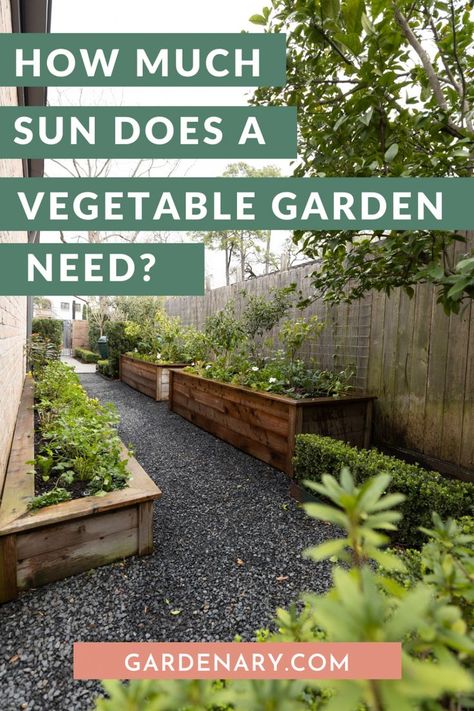 Learn how much sun you need to successfully set up and grow a vegetable garden or kitchen garden in your own yard in this article by Nicole Burke, Owner of Rooted Garden and Gardenary and author of Kitchen Garden Revival Rooted Garden, Vegetable Garden Layout Design, Herbs Growing, Farmhouse Yard, Beginner Gardening, Side Yard Landscaping, Garden Layout Vegetable, Garden Workshops, Backyard Vegetable Gardens