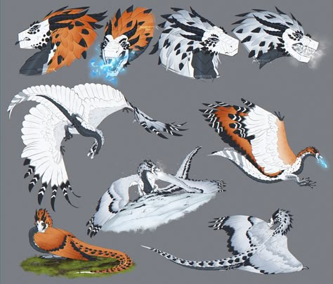 Dragon Poses, Sketch Page, Mythical Creatures Fantasy, Dragon Artwork Fantasy, Dragon Sketch, Mythical Animal, Warrior Cats Art, Cute Fantasy Creatures, Creature Drawings