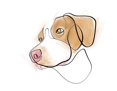 Tattoo Perro, Dog Line Drawing, Dog Design Art, Dog Line Art, Linear Art, Single Line Drawing, Line Artwork, Watercolor Dog, Dog Drawing