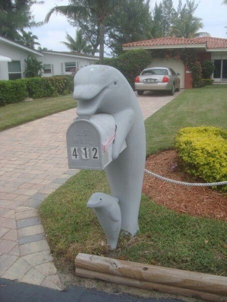 Dolphin Mailbox Manatee Mailbox Ideas, Fish Mailbox, Nautical Mailbox, Dolphin Room Decor, Concrete Yard, Dolphin House, Brick Mailbox, Cool Mailboxes, Dolphin Decor