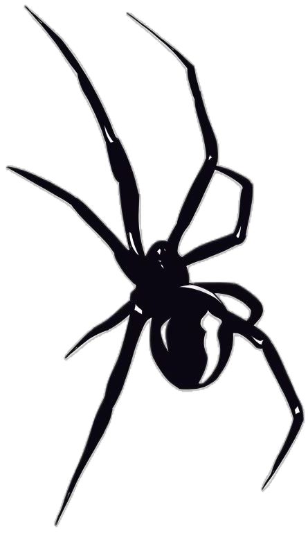 Easy Graffiti Letters, Spider Stencil, Spider Silhouette, Painting Feathers, Black Widow Tattoo, Easy Graffiti, Spider Drawing, Tattoo Catalog, Cool Stencils