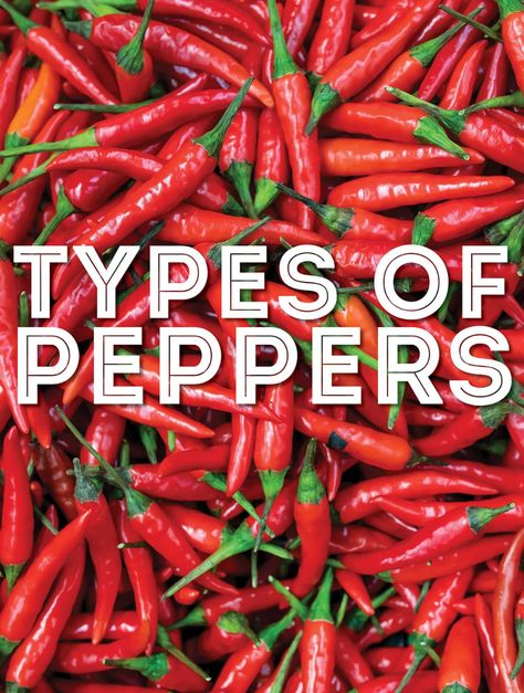 Yellow Chili Peppers, Pepper Varieties, Datil Pepper, Mexican Chili, Types Of Peppers, Roasted Red Pepper Soup, Mole Sauce, Dried Peppers, Rice Varieties