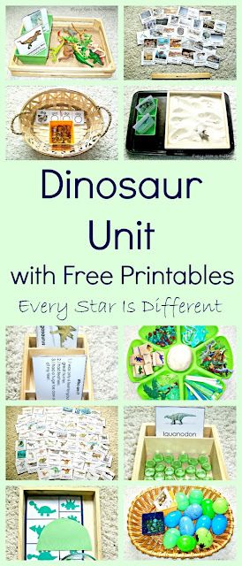 Dinosaur Homeschool Unit, Dinosaur Study Preschool, Dinosaur Learning Activities, Dinosaurs Activities, Dinosaurs Kindergarten, Dinosaur Unit Study, Dinosaur Lesson, Dinosaur Theme Preschool, Dinosaur Activities Preschool