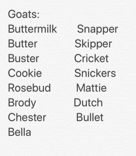 Goat names Stardew Valley Animal Names, Show Sheep Names, Stardew Valley Farm Names Ideas, Farm Names Stardew Valley, Livestock Names, Cute Stardew Valley Farm Names, Stardew Valley Farm Names, Pack Goats, Goat Names