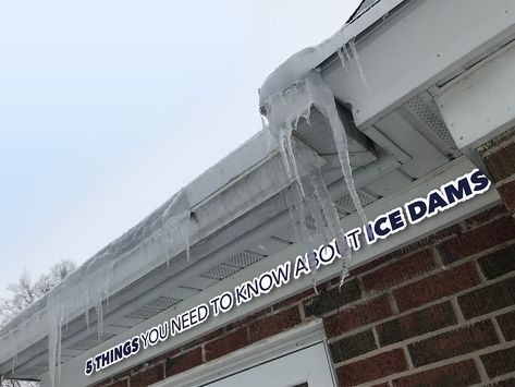 Iowa winters are harsh and when the February chill hits many homes experience the damaging effects of ice dams. Here at HSI, we field calls weekly about ice dams and home comfort. We have listed 5 things you should know about ice dams, along with our interactive image slider. Image Slider, Ice Dams, Home Comfort, Home Solutions, 5 Things, Iowa, Highway Signs, Insulation, Need To Know