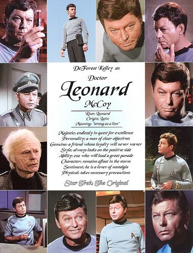 Dr Mccoy, Deforest Kelley, Leonard Mccoy, Star Trek Actors, Star Trek 1, Star Trek Original Series, Star Trek Tv, Star Trek Series, Star Trek Images