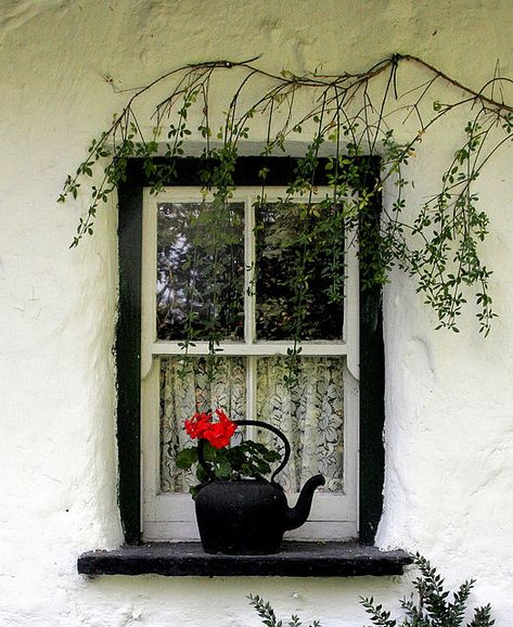 A very traditional scene of an Irish Cottage - small wooden windows, black potted kettle with stricking red geranium, whitewash walls, more than likely made from mud. Cottage Windows, Irish Cottage, Red Geraniums, Beautiful Windows, White Cottage, Old Windows, Small Windows, Window View, Old Doors