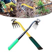 Common Garden Weeds, Garden Weeding Tools, Weeder Tool, Best Hand Tools, Pulling Weeds, Garden Rake, Garden Weeds, Weeding Tools, Garden Hand Tools