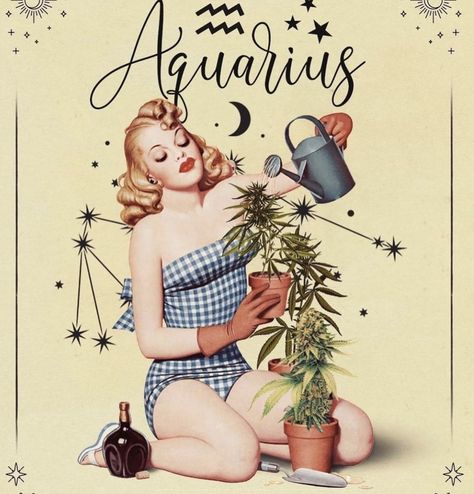 Aquarius Zodiac Sign Aquarius Aesthetic, Aquarius Art, Aquarius Truths, Aquarius Life, Aquarius Season, Being Me, Age Of Aquarius, Zodiac Signs Aquarius, Celestial Art