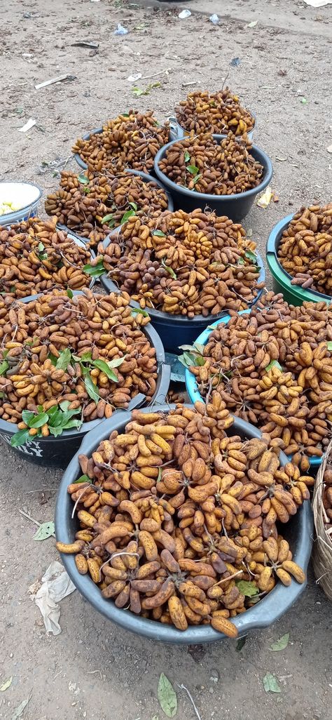 Located in Jos, Niger Nigeria Fruit