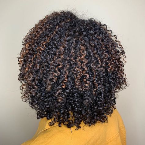 Black Hair Dye Ideas Highlights, Auburn Highlights For Black Hair, Brown Highlights On Black Hair Curly 4c, Natural Hair Highlights 4c, Highlights On Type 4 Natural Hair, Brown Highlights 4c Hair, Brown Highlights On Natural Hair, 4c Highlights Natural Hair, 4c Hair With Highlights