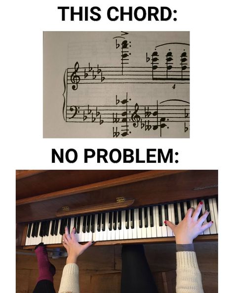 27 classical music memes that will completely define your life - Classic FM Percussion Humor, Classical Music Quotes, Piano Memes, Classical Music Humor, Classical Music Playlist, Classical Music Poster, Music Major, Musical Jokes, Music Puns