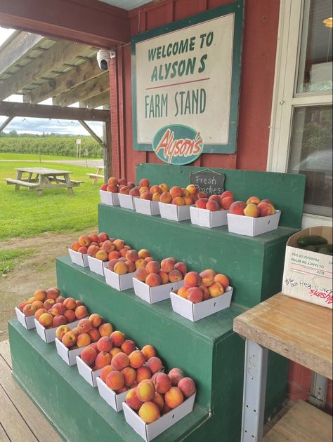 Aesthetic farm stand fresh picked fruit Produce Stand Aesthetic, Farmstand Aesthetic, Fruit Farm Aesthetic, Berry Picking Aesthetic, Peach Farm, Produce Farm, Aesthetic Farm, Market Aesthetic, Fruit Farm