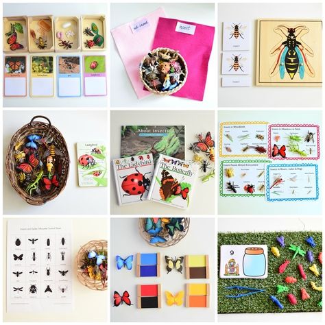 Continents Activities, Insect Unit, Insect Activities, Practical Life Activities, Activities For Preschoolers, Dinosaur Activities, Montessori Ideas, Counting Activities, Kindergarten Learning