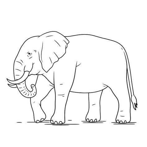 Free vector hand drawn elephant outline | Free Vector #Freepik #freevector #elephant-drawing #animal-outline #line-art #outline Elephant Line Drawing, Jungle Coloring Pages, Elephant Outline, Elephant Coloring, Elephant Sketch, Elephant Printable, Mother And Baby Elephant, Elephant Coloring Page, Elephant Silhouette