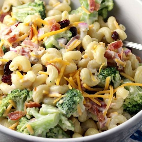 Easy Broccoli Pasta Salad Pasta Salad With Broccoli Cold, Pasta Broccoli Salad, Pasta Salad Broccoli, Easy Broccoli Pasta, Broccoli Pasta Salad, Broccoli Pasta Salads, Pasta Broccoli, Broccoli Pasta Recipe, Cold Pasta Salad Recipes