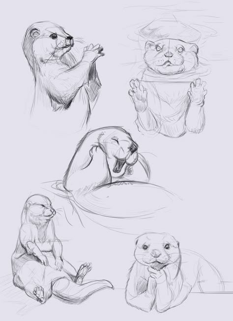 Cartoon Animals Sketches, Cute Illustration Drawing, How To Draw An Otter, Otter Drawing Sketches, Draw An Otter, Otter Sketch, Otter Drawing, Otter Tattoo, Otters Holding Hands