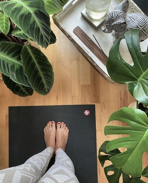 Manduka Yoga Europe (@mandukaeurope) • Instagram-Fotos und -Videos Yoga Room Inspiration, Manduka Yoga Mat, Yoga Sanctuary, Hot Yoga Mat, Home Yoga Practice, Yoga Aesthetic, Yoga Branding, Today Is A Good Day, Yoga Gear