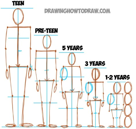 Now Lets Show You the Human Proportions of Different Age Groups Child Proportions Drawing, Basic Human Figure Drawing, How To Draw People, Drawing Proportions, Male Figure Drawing, Materi Bahasa Jepang, Human Body Drawing, How To Draw Steps, Draw People