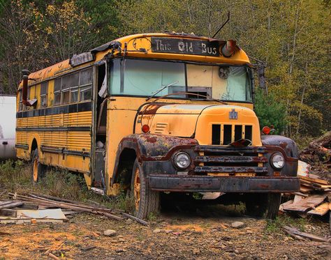 Road Hog, Old School Bus, School Buses, Wheels On The Bus, Vintage School, International School, School Bus, Buses, Motorhome