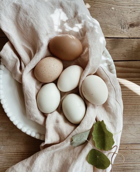 Farm Eggs, Color Vibe, Country Lifestyle, Cottagecore Style, Farms Living, Spring Aesthetic, Live Simply, Natural Life, Farm Gardens