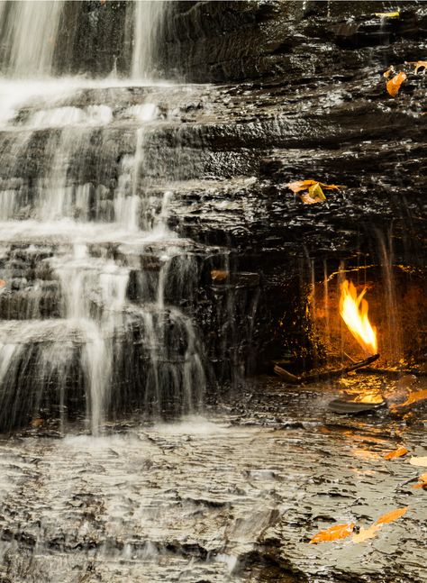 Eternal Flame Waterfall, Eternal Flame Falls New York, Eternal Flame Falls, Book Planning, Destination Imagination, New York Bucket List, Destination Vacation, American Chestnut, Inspiring Artwork