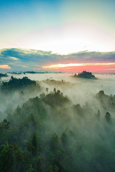 The sunrise over Danum Valley Conservation Area. - - - #bikeandtours #memorableadventures #borneo #sabah #malaysia #bukitpiton #danumvalley #sabahtourism #sabahtourismjpn #rainforest #jungle #Biodiversität #Biodiversity #Regenwaldschutz #Umweltschutz #Klimaschutz #sunrise Danum Valley Conservation Area, Borneo Sabah, Borneo Rainforest, Bike Adventure, Sabah Malaysia, Sandakan, Forest Sounds, Mangrove Forest, Morning Sunrise