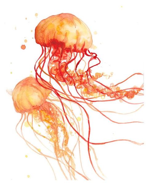 Watercolor Jellyfish, Jellyfish Painting, Jellyfish Print, Jellyfish Art, Art And Craft Videos, Abstract Watercolor Art, Painting Subjects, Abstract Watercolor, Jellyfish