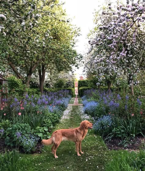 Longmeadow Garden, Orchard Garden, Monty Don, Trees And Flowers, Country Gardens, Cottage Garden Plants, Longwood Gardens, Garden Balcony, Contemporary Garden