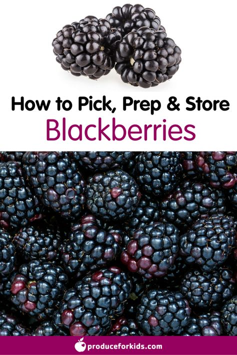 How to Pick, Prep & Store Blackberries + nutrition information, recipes, fun facts and more! Store Produce, Watermelon Nutrition Facts, Broccoli Nutrition, Nutrition For Runners, Nutritional Cleansing, Nutritional Information, Nutrition Facts Label, Nutrition Guide, Optimum Nutrition