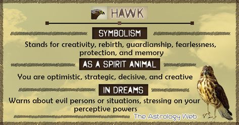 What Does a Hawk Symbolize A hawk symbolizes illumination, creativity, rebirth, guardianship, strategy, protection, memory, fearlessness, determination, teamwork, opportunity, swiftness, wisdom and truth. Its ability to see long distances marks its clear vision, attention and increased spiritual awareness. Further, being a solar animal, it embodies brilliance, clarity, energy, and unification. Hawk Symbolism According to Types … Hawk Spirit Animal Meaning, Hawk Meaning, Hawk Symbolism, Angel Connection, Hawk Spirit Animal, Animal Totem Spirit Guides, Spirit Animal Meaning, Animal Meanings, Spirit Signs